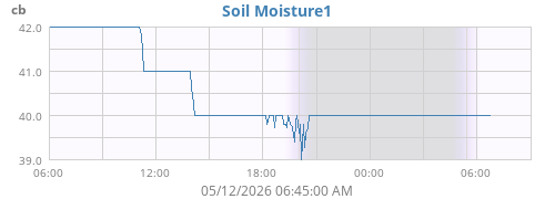 daymoistsoil