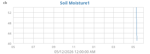 yearmoistsoil